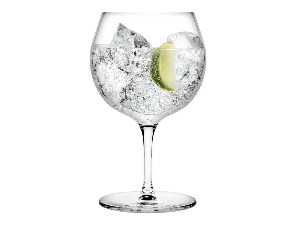 Copa balón con gin y limón